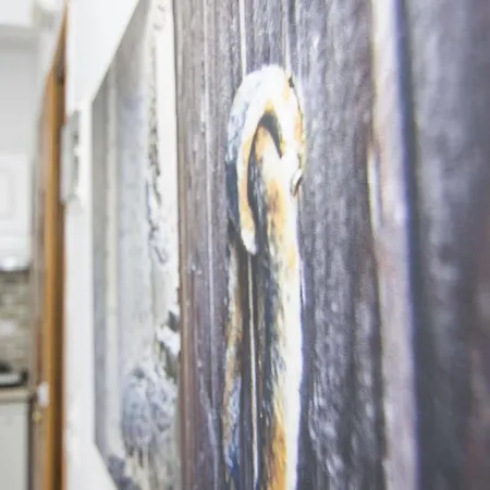 مارغريتا فندق فِروستيفاني