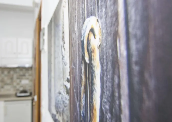 玛格丽塔酒店 酒店 菲罗斯特法尼